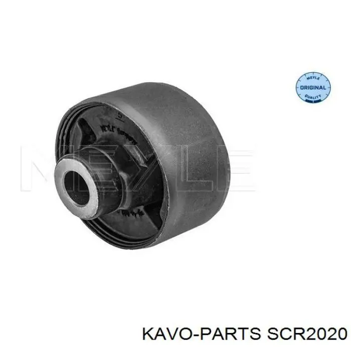 SCR2020 Kavo Parts Сайлентблок нижнего переднего рычага