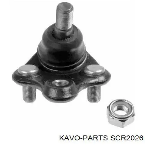 Сайлентблок передней подвески Kavo Parts SCR2026 цена, от 10.36 USD