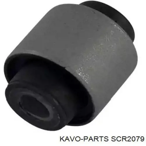 SCR-2079 Kavo Parts сайлентблок заднего нижнего рычага