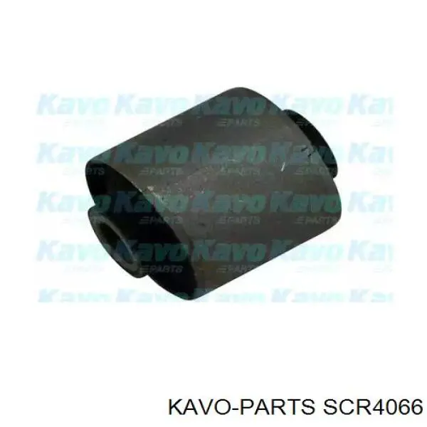 SCR-4066 Kavo Parts сайлентблок заднего нижнего рычага