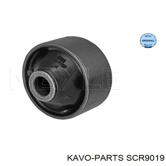 SCR9019 Kavo Parts