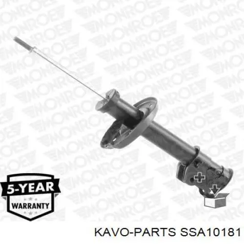 SSA-10181 Kavo Parts amortecedor dianteiro direito