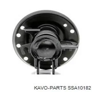 Купить SSA10182 Kavo Parts Амортизатор подвески передний левый