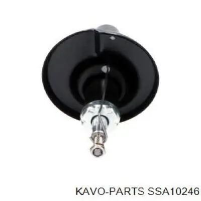 Амортизаторы передние Kavo Parts SSA10246