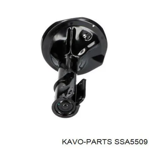 SSA-5509 Kavo Parts амортизатор передний