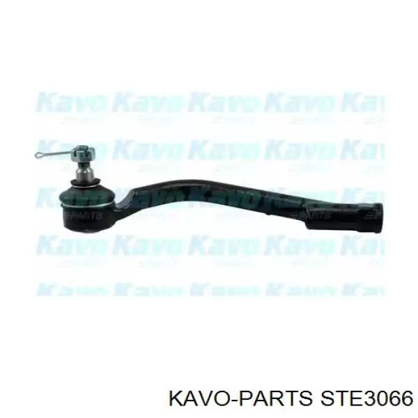 STE3066 Kavo Parts