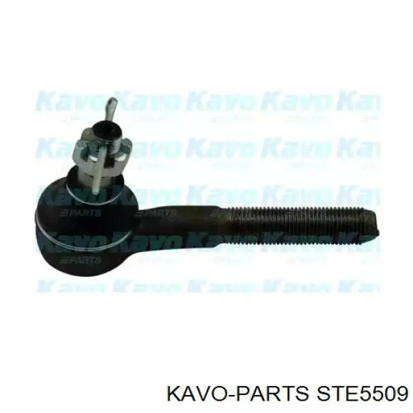 STE5509 Kavo Parts