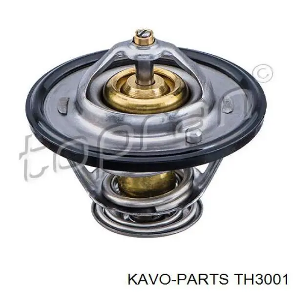 Термостат в корпусе Kavo Parts TH3001 цена, от 9.00 USD