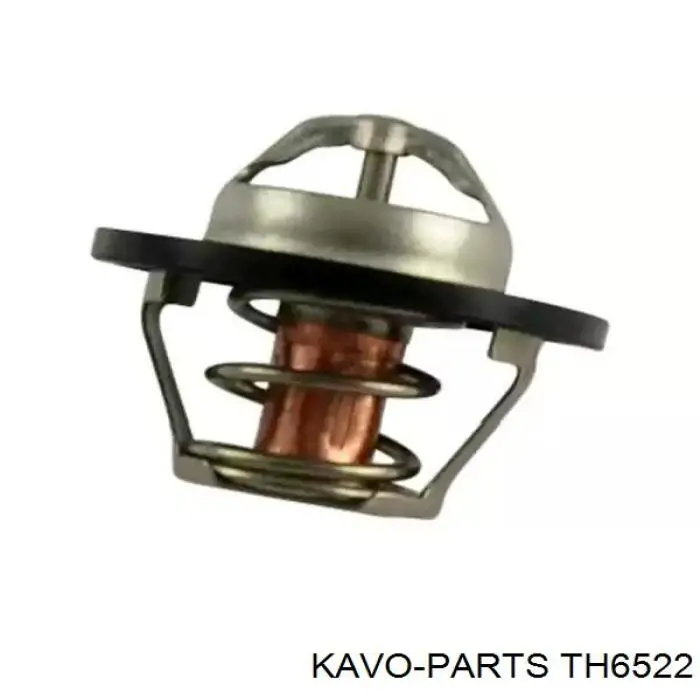 TH6522 Kavo Parts termostato