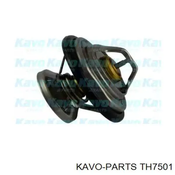 Термостат TH7501 Kavo Parts