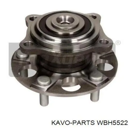 Ступица задняя Kavo Parts WBH5522