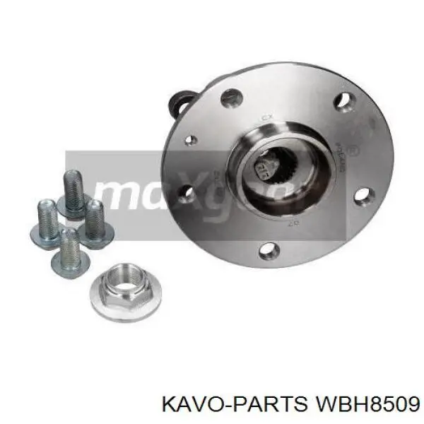WBH-8509 Kavo Parts ступица задняя