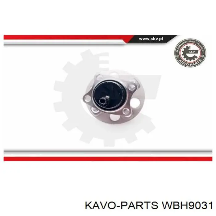 Ступицы задних колес Kavo Parts WBH9031 цена, от 47.67 USD