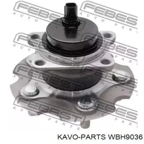 Купить WBH9036 Kavo Parts Задняя шпиндель