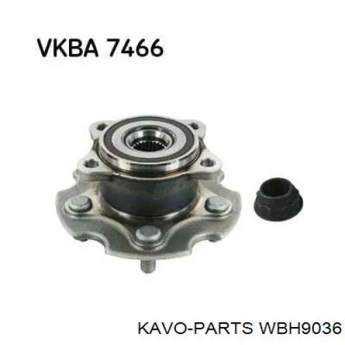Ступица задняя Kavo Parts WBH9036