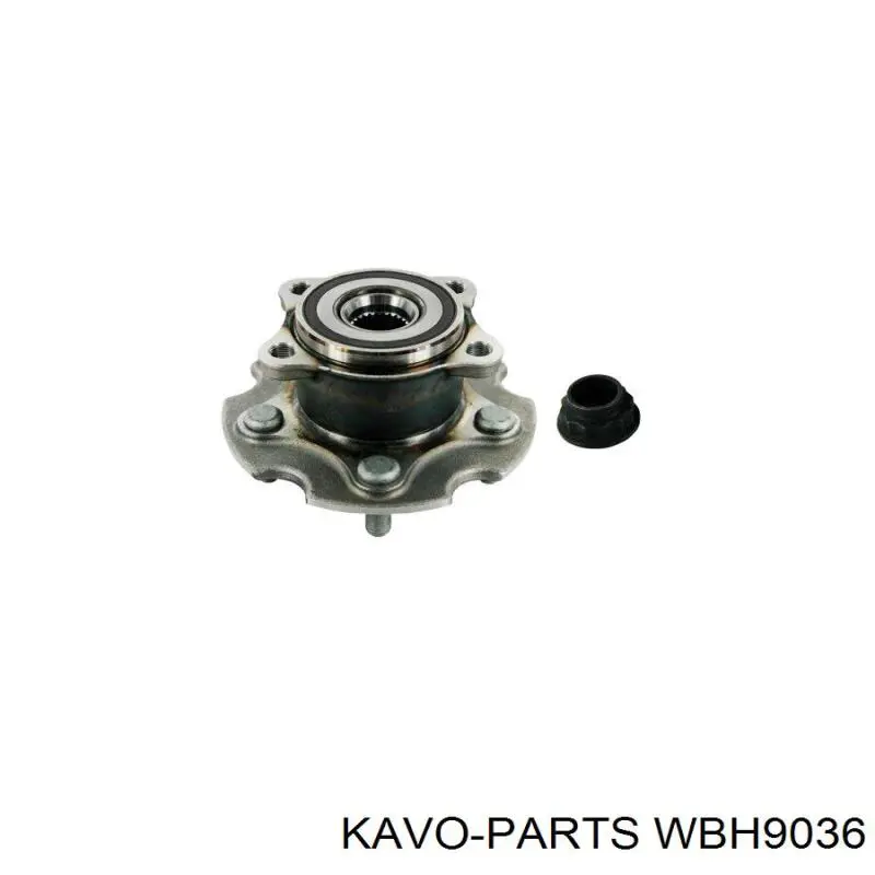 Ступицы задних колес Kavo Parts WBH9036 цена, от 57.40 USD