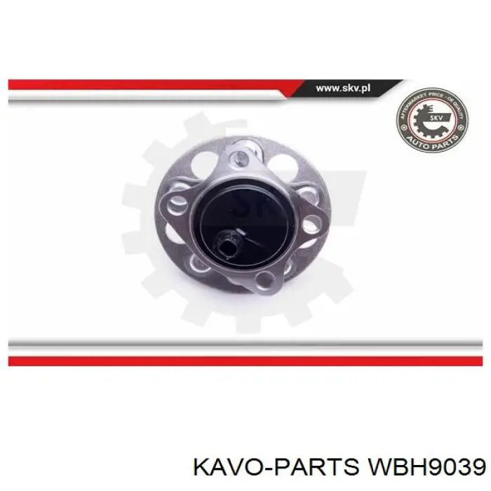 Ступицы задних колес Kavo Parts WBH9039 цена, от 73.23 USD