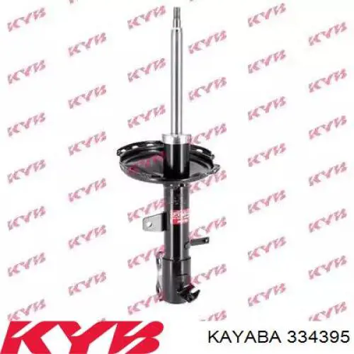 Амортизатор задний левый RS317155 Raiso