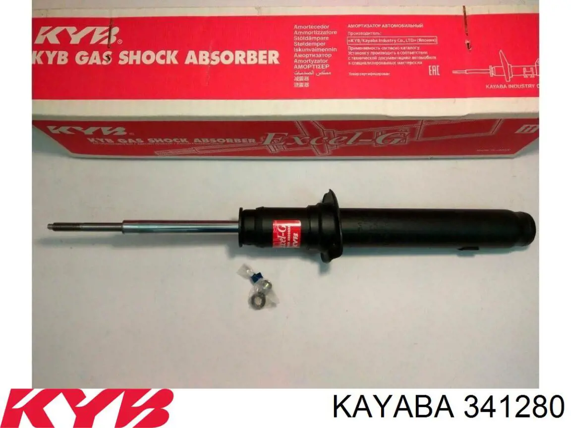 Амортизатор передний RS317271 Raiso