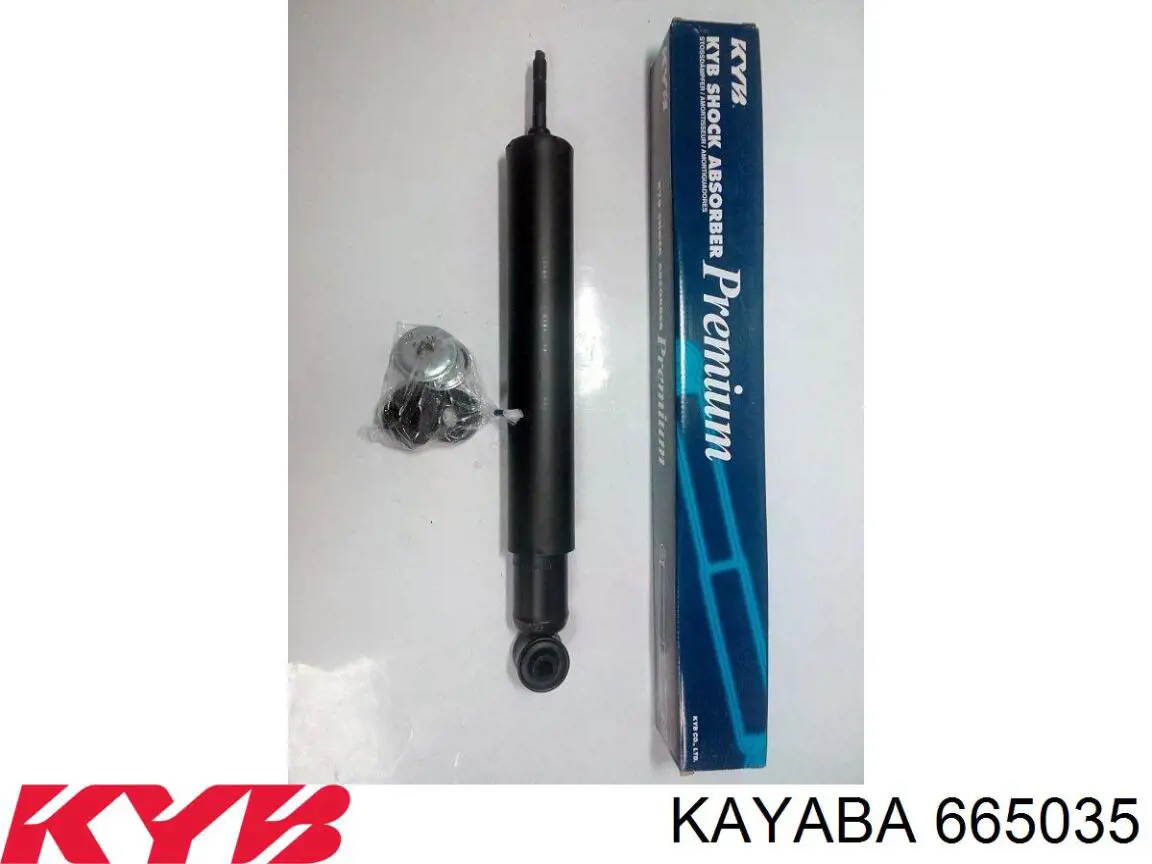 Амортизатор передний RS100321 Raiso