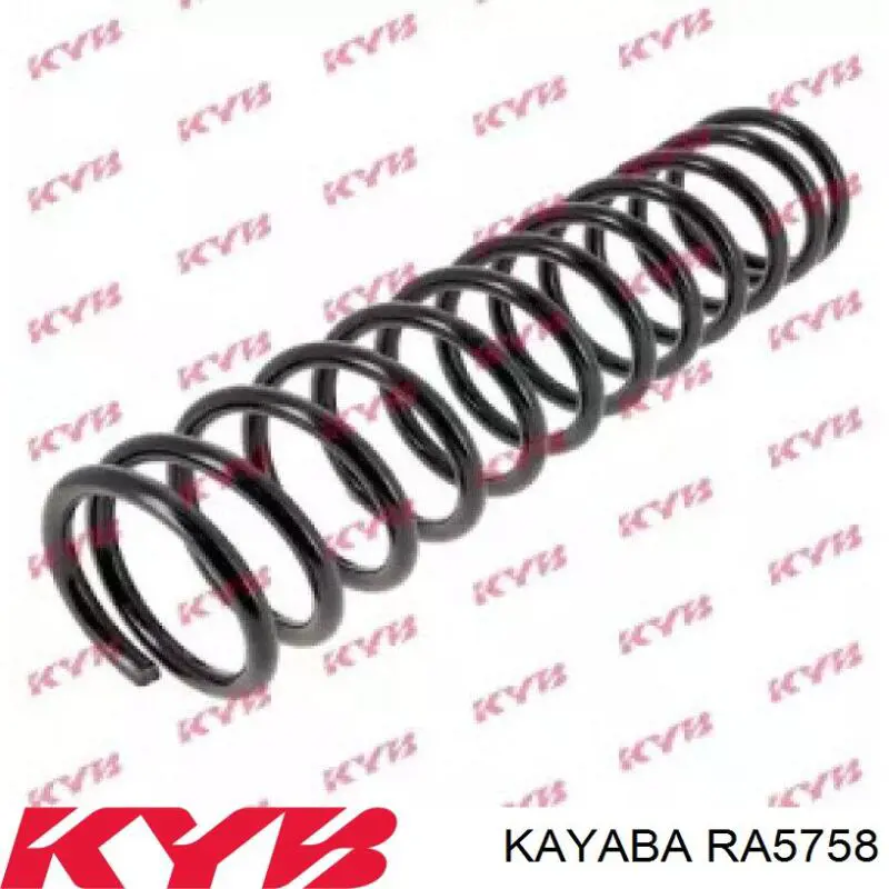 0055008 GKN-Spidan Пружина подвески задняя