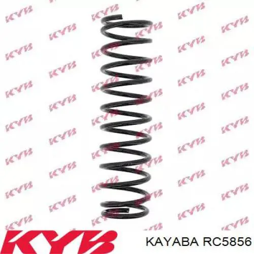 RC5856 Kayaba mola traseira