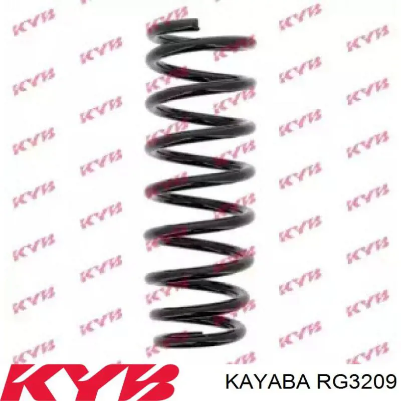 Купить SF209TP Raiso Винтовая пружина подвеска