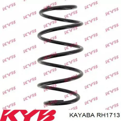 RH1713 Kayaba