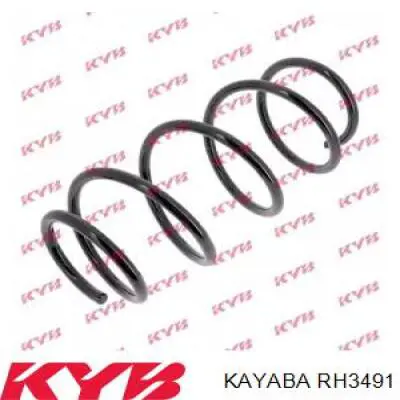 RH3491 Kayaba