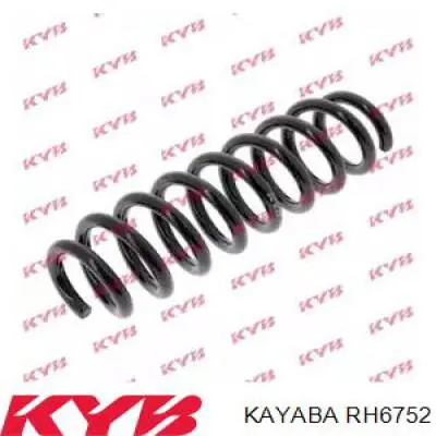 Задняя пружина SR135TP Raiso