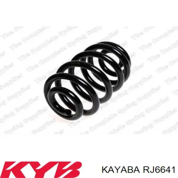 Купить RJ6641 Kayaba Пружина подвески