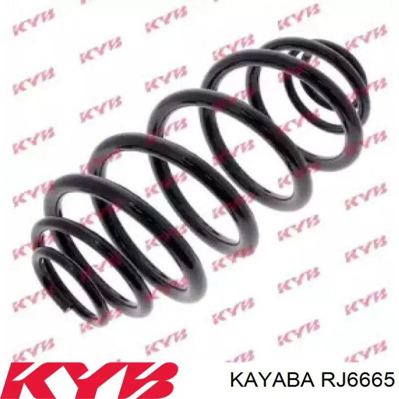 Задняя пружина RJ6665 Kayaba