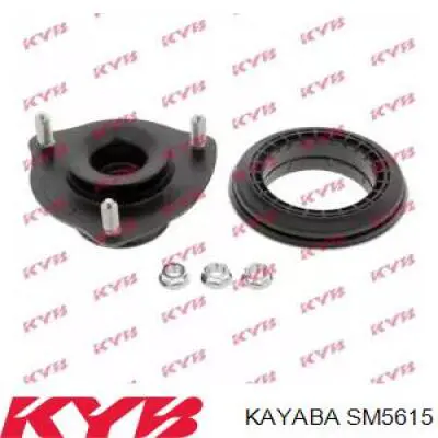 RC05615 Raiso Подушка амортизатора переднего