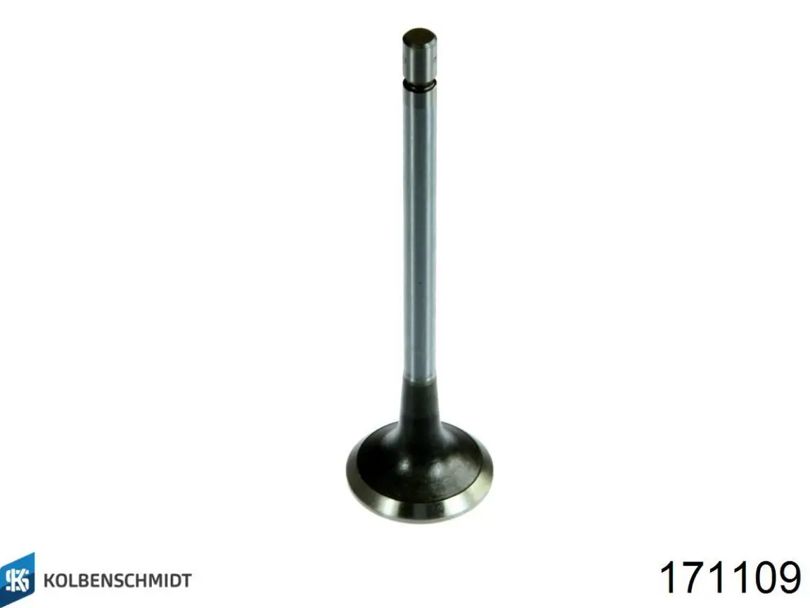 171109 Kolbenschmidt клапан выпускной