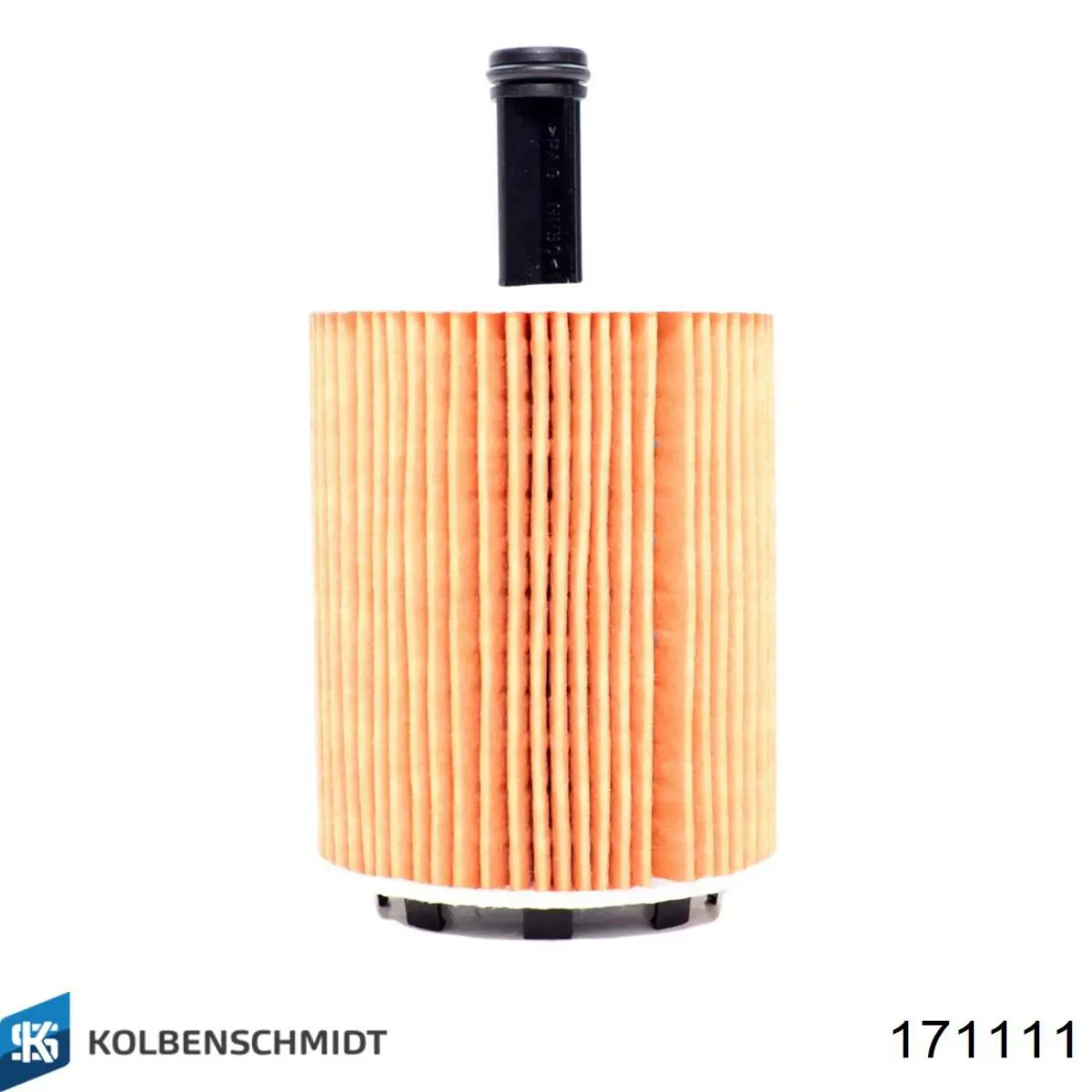 Впускной клапан 500355778 Iveco