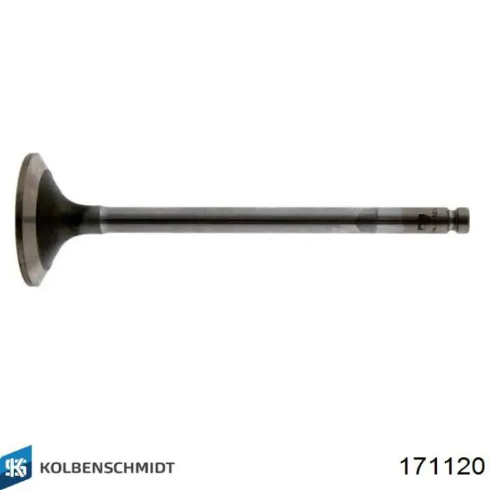 Купить 171120 Kolbenschmidt 