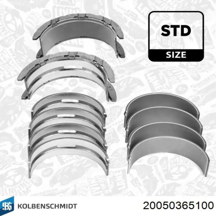 20050365100 Kolbenschmidt Коленвал двигателя