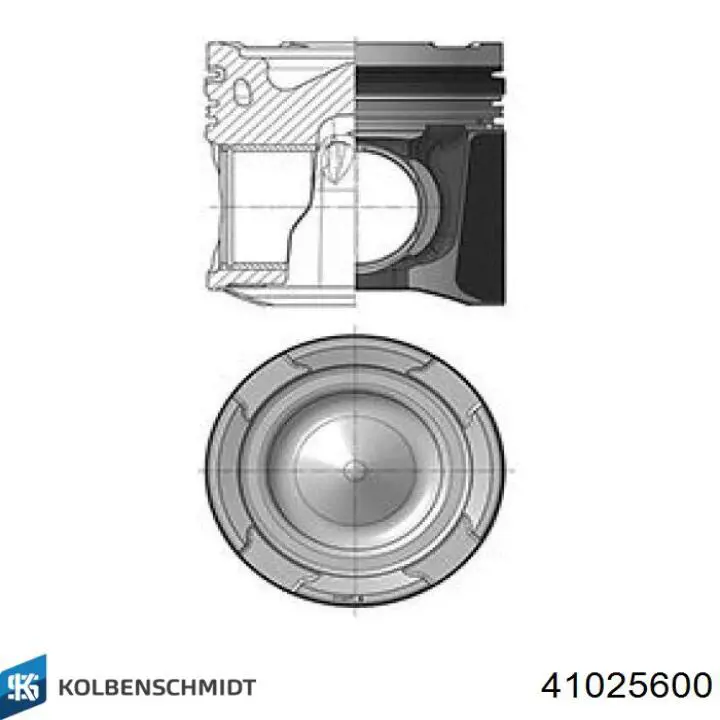 Pistão do kit para 1 cilindro, STD para MAN TGX 