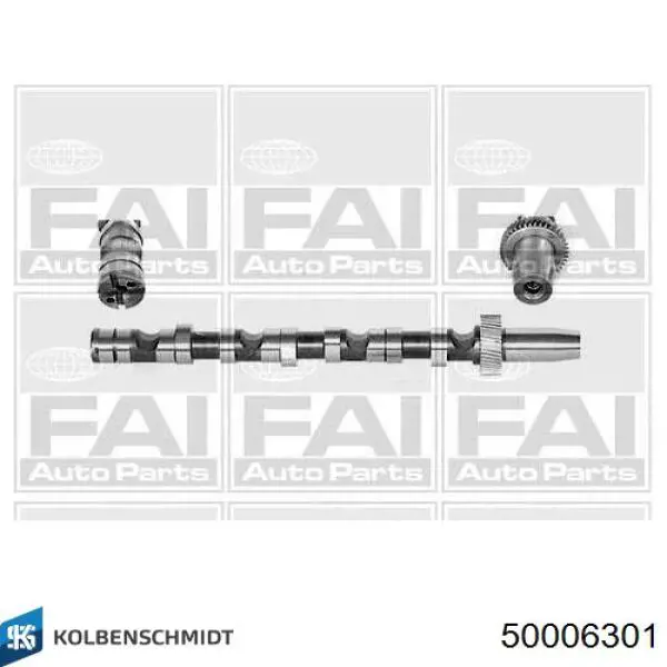 Распредвал двигателя впускной левый Kolbenschmidt 50006301 цена, от 111.40 USD