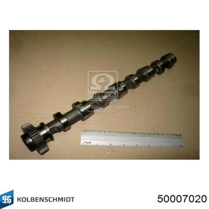 Купить 50007020 Kolbenschmidt Впускной распредвал