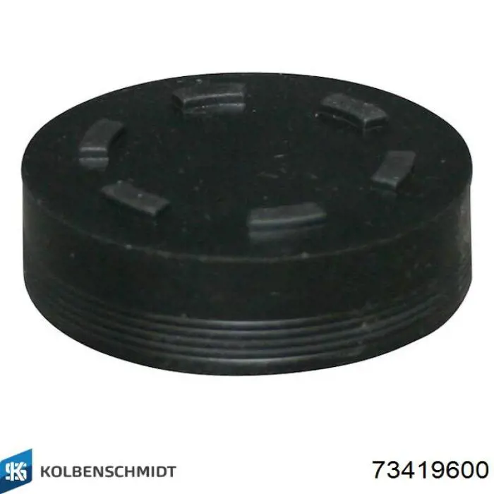 73419600 Kolbenschmidt 