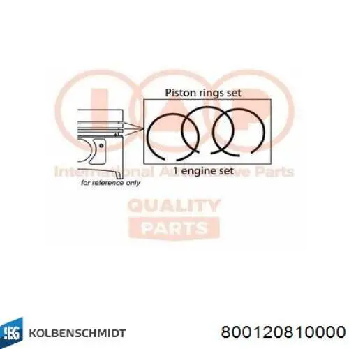 Кольца поршневые STD на 1 цилиндр Kolbenschmidt 800120810000 цена, от 22.94 USD