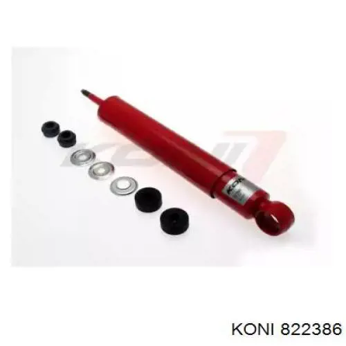 RS317159 Raiso Стойка задняя правая