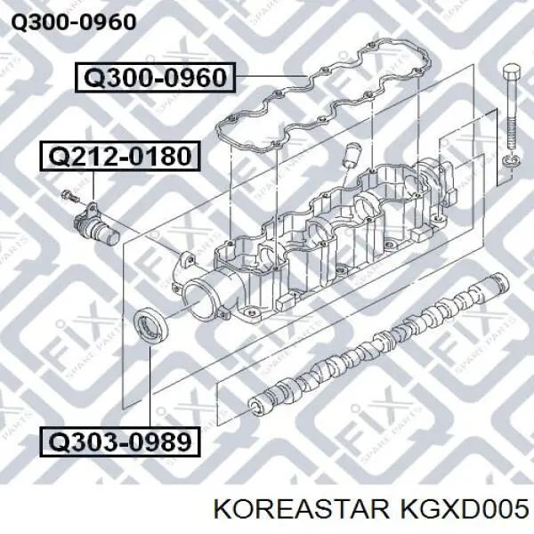 KGXD005 Koreastar