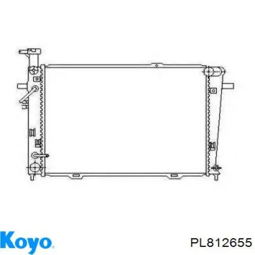 Купить 613HNA27216 TYC Радиатор водяной