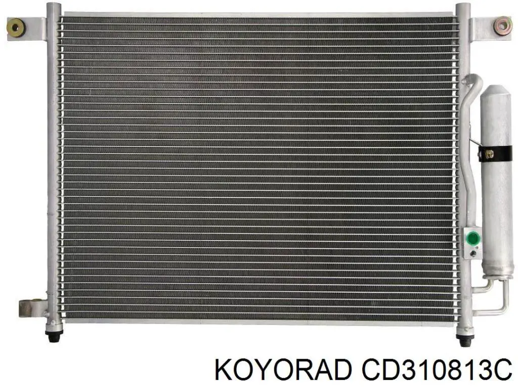 CD310813C Koyorad
