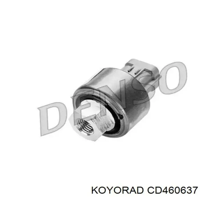 CD460637 Koyorad