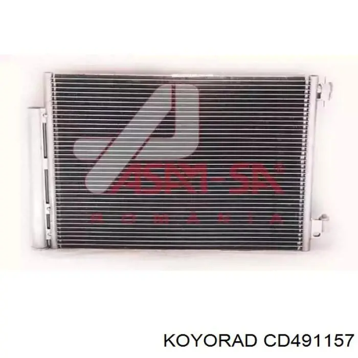 CD491157 Koyorad