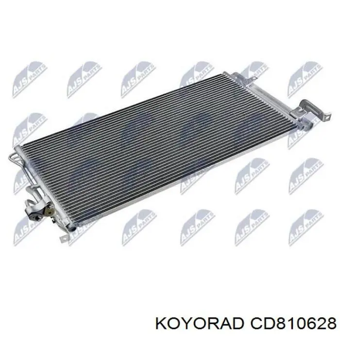 CD810628 Koyorad