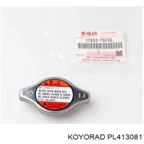 PL413081 Koyorad Радиатор основной